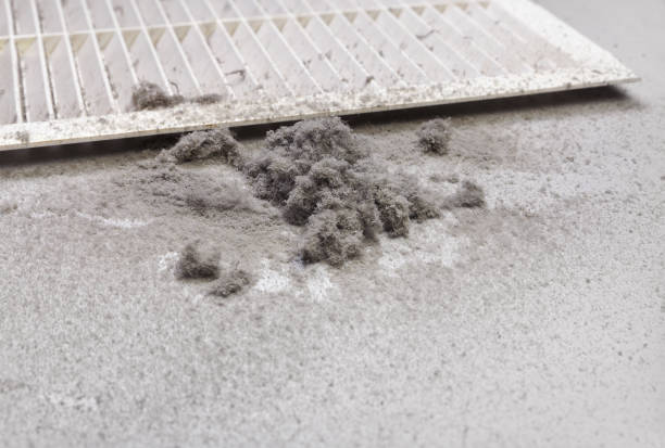 Best Commercial HVAC Duct Cleaning  in Princeton, WV