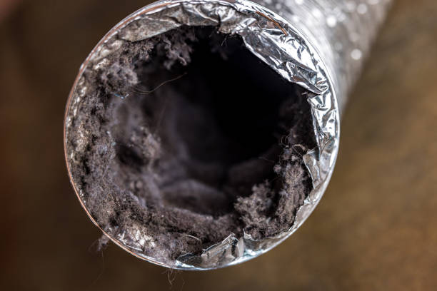 Best Professional Duct Cleaning Services  in Princeton, WV