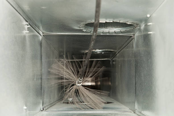 Best Air Duct Sanitizing Services  in Princeton, WV